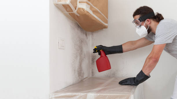 Professional Mold Cleanup technician working in Clinton, MI
