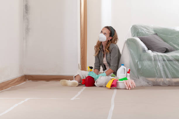 Reliable Mold Cleanup contractor in Clinton, MI by Cheap Mold Removal